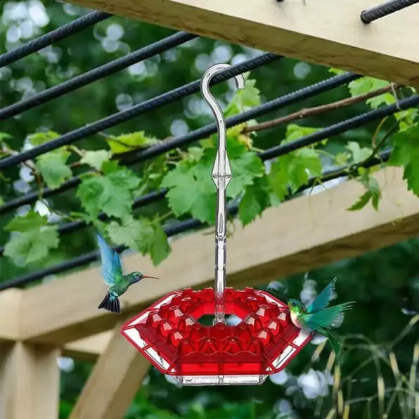 sherem hummingbird feeder user Jacob